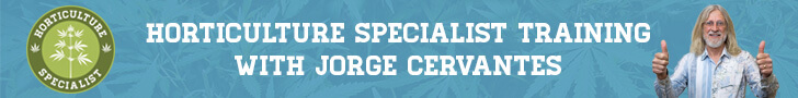 THC University