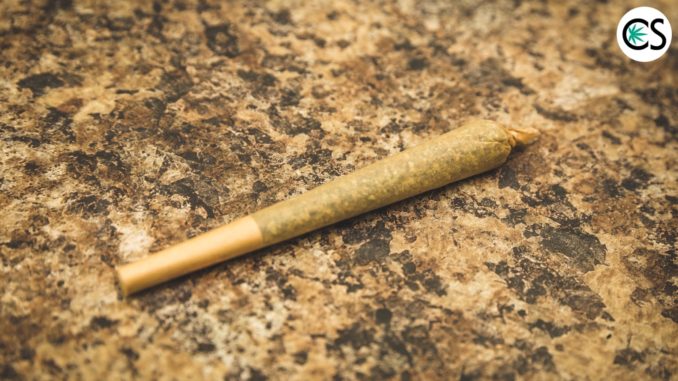 hemp-flower-cbd-pre-roll