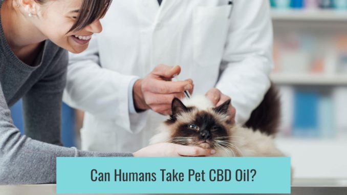 Can Humans Take Pet CBD Oil?
