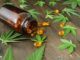 CBD Capsules scattered around a bottle