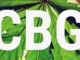 CBG oil article thumbnail