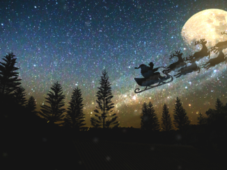 Did Santa Claus Trip on Magic Mushrooms?