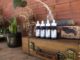 The Benefits of Using CBD without THC