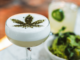 How to Find the Best CBD for Hangovers