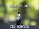 What is CBD (Cannabidiol)? Why Has It Become So Popular?