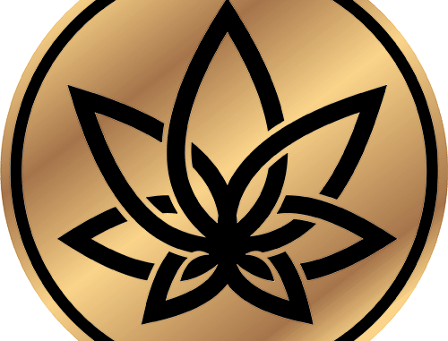 3Chi Delta-8 THC Product Review