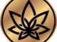 3Chi Delta-8 THC Product Review