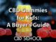 The Best CBD Gummies for Kids: A Safe Buyer's Guide