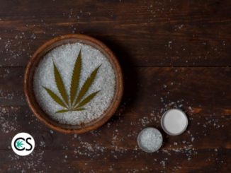 What is Pure CBD Oil? Where Can I Buy It?