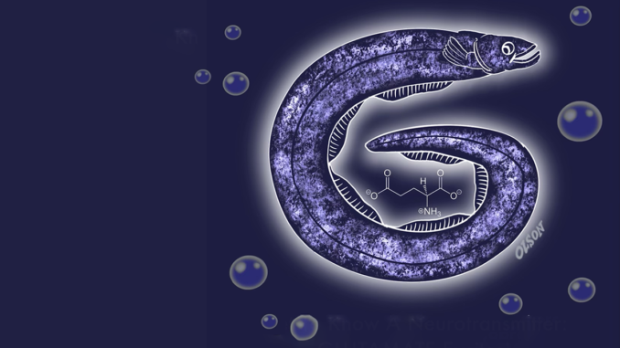 Glutamate, A Love Story | Project CBD