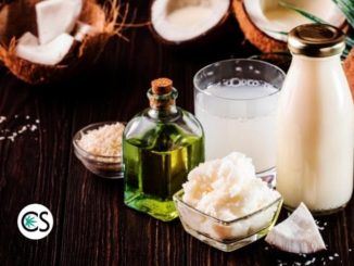 MCT Oil in CBD: What Does it Do?