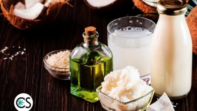MCT Oil in CBD: What Does it Do?