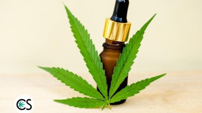 What Does Cannabidiol Do? - CBD School