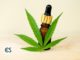 What Does Cannabidiol Do? - CBD School