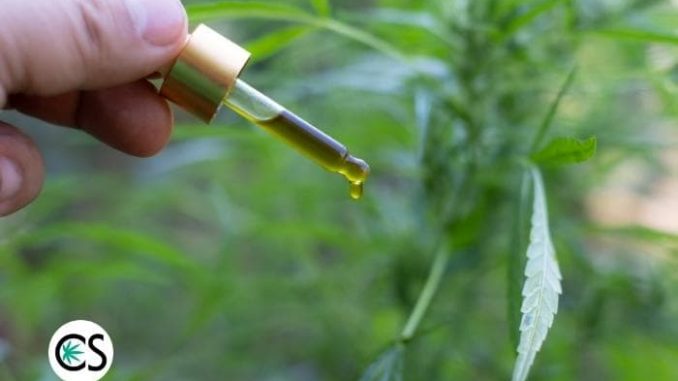What is a CBD Tincture?