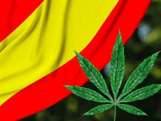Spanish Government Gives Green Light to Medical Cannabis