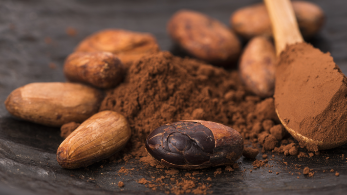 Cacao, a Traditional Plant Medicine for Modern Times