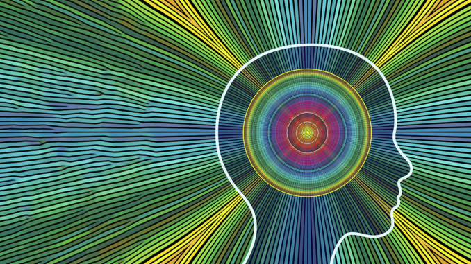 Full-Spectrum Brain Boost | Project CBD