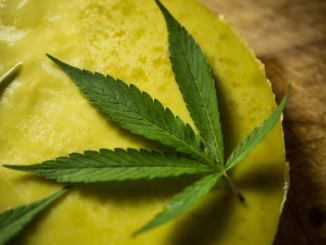 Why Go to a Cannabis Science Conference?