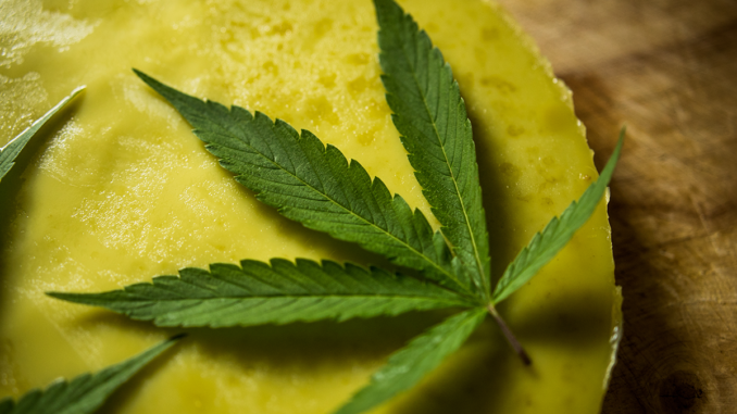 Why Go to a Cannabis Science Conference?